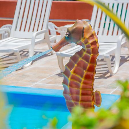 נטאל Brisa Do Mar Beach Hotel מראה חיצוני תמונה
