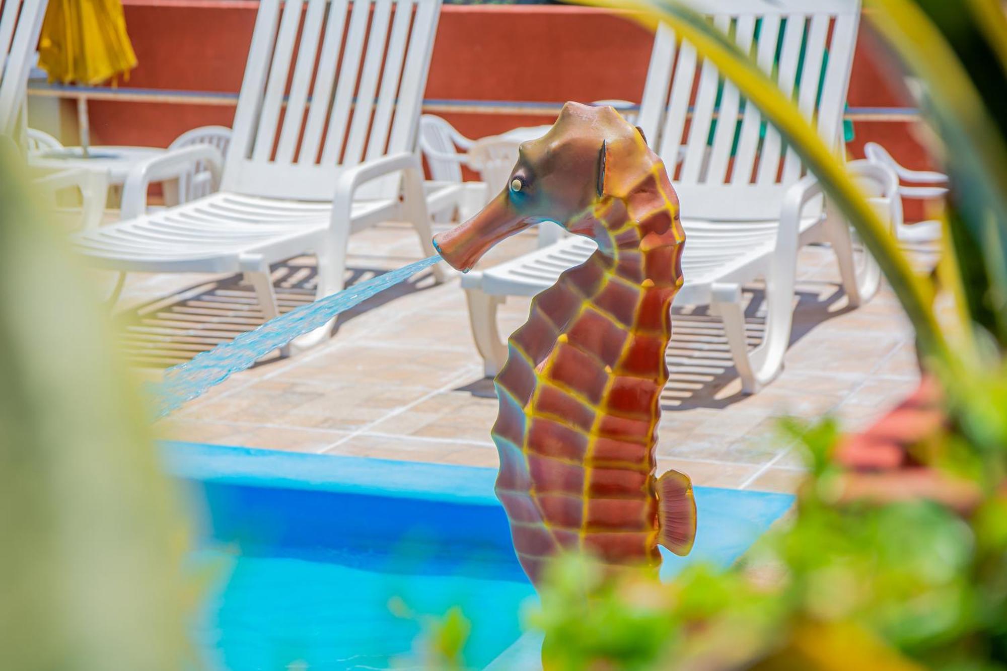 נטאל Brisa Do Mar Beach Hotel מראה חיצוני תמונה